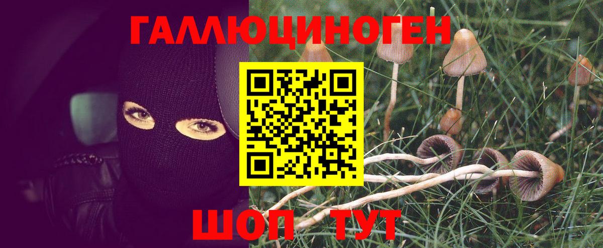 Вязьма  Псилоцибиновые грибы мухоморы  Вход с VPN  Псилоцибиновые грибы прущие грибы 